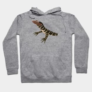 Cute Monitor Lizard Drawing Hoodie